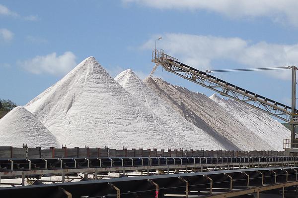 Sand washing plant