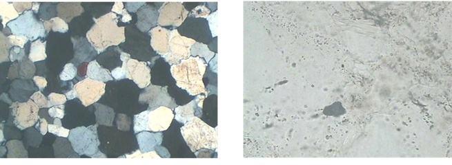 Iron removal by Aspergillus Niger