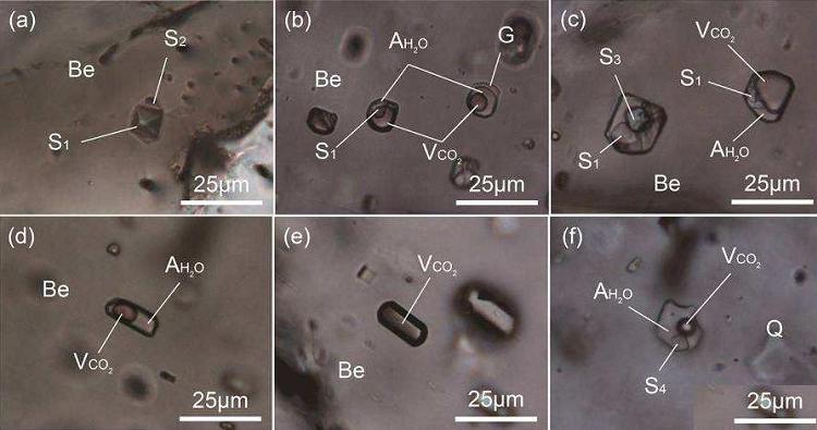 gas-liquid inclusion