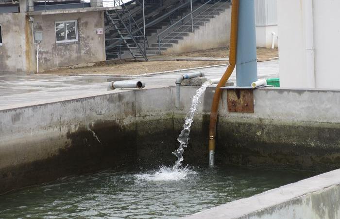 sand washing plant