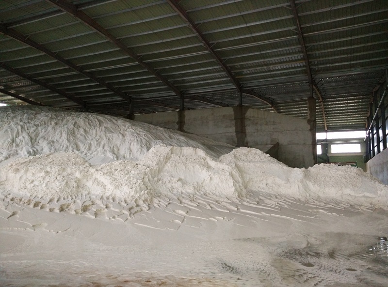 sand washing plant