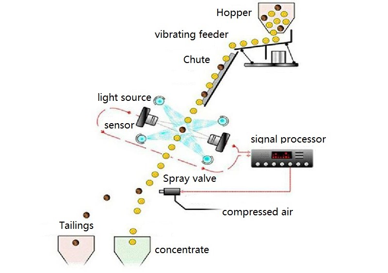 color sorter